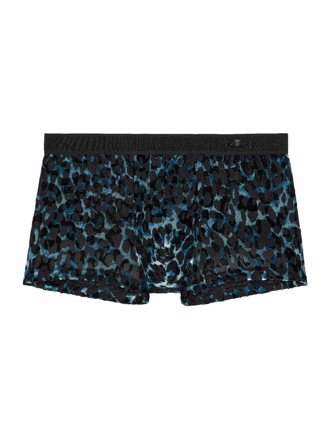 Trunk - Leopard 3