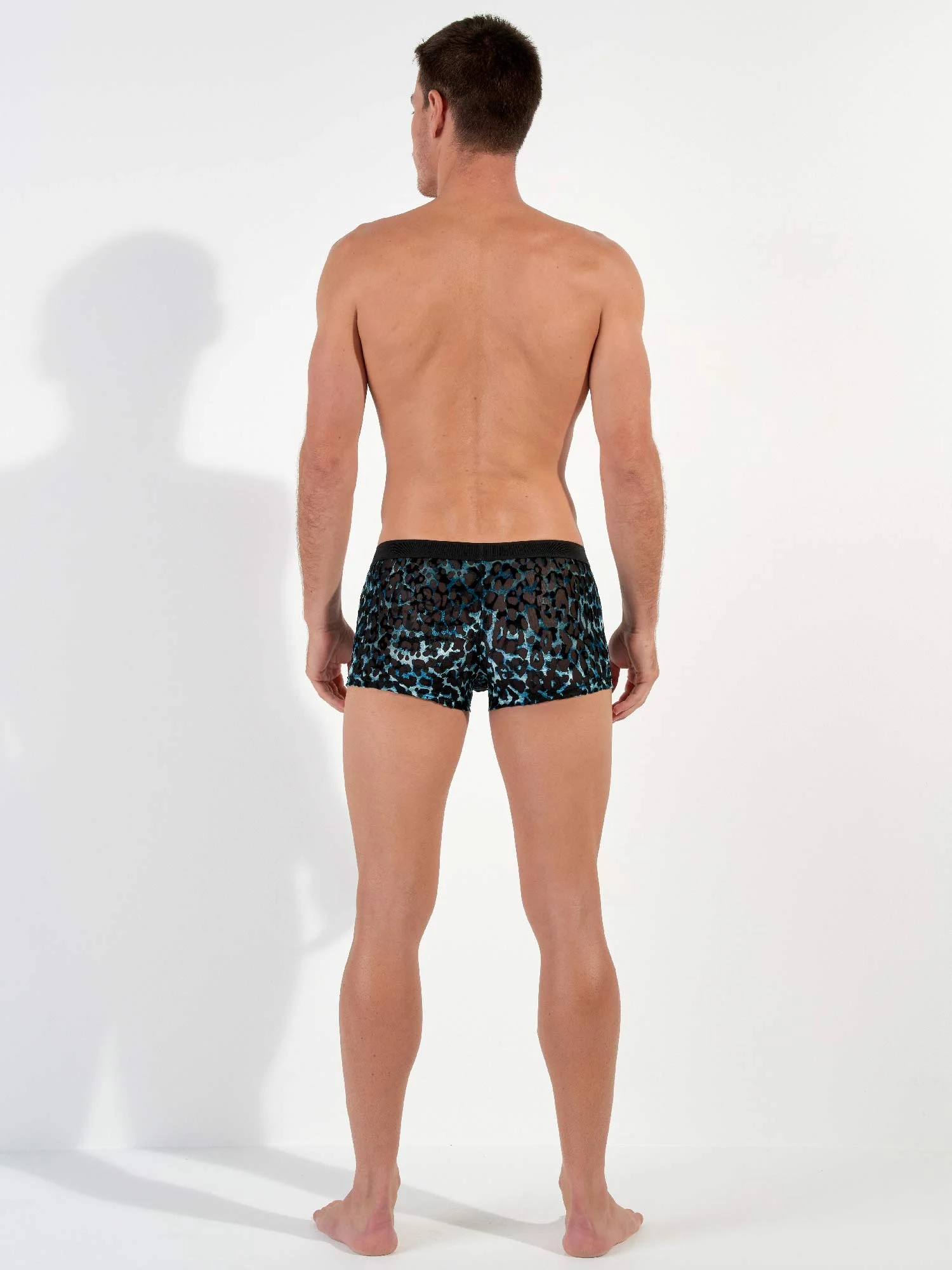 Trunk - Leopard 5