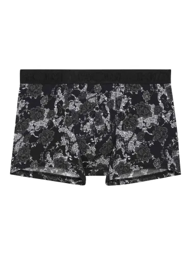 Boxer HO1 - Fairmont 2