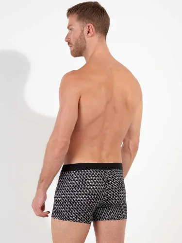Boxer HO1 - Waldorf 4