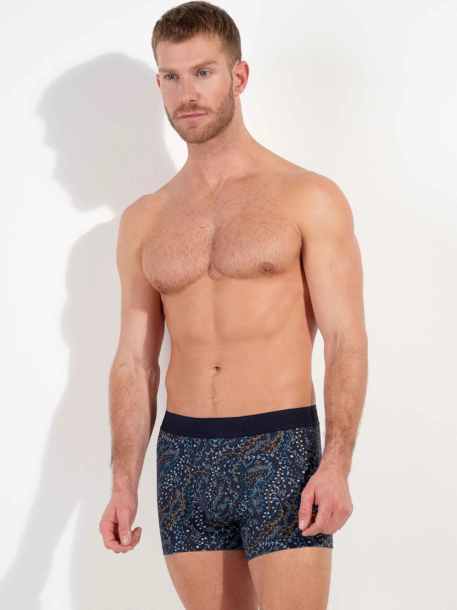 Boxer - Fontainebleau 6