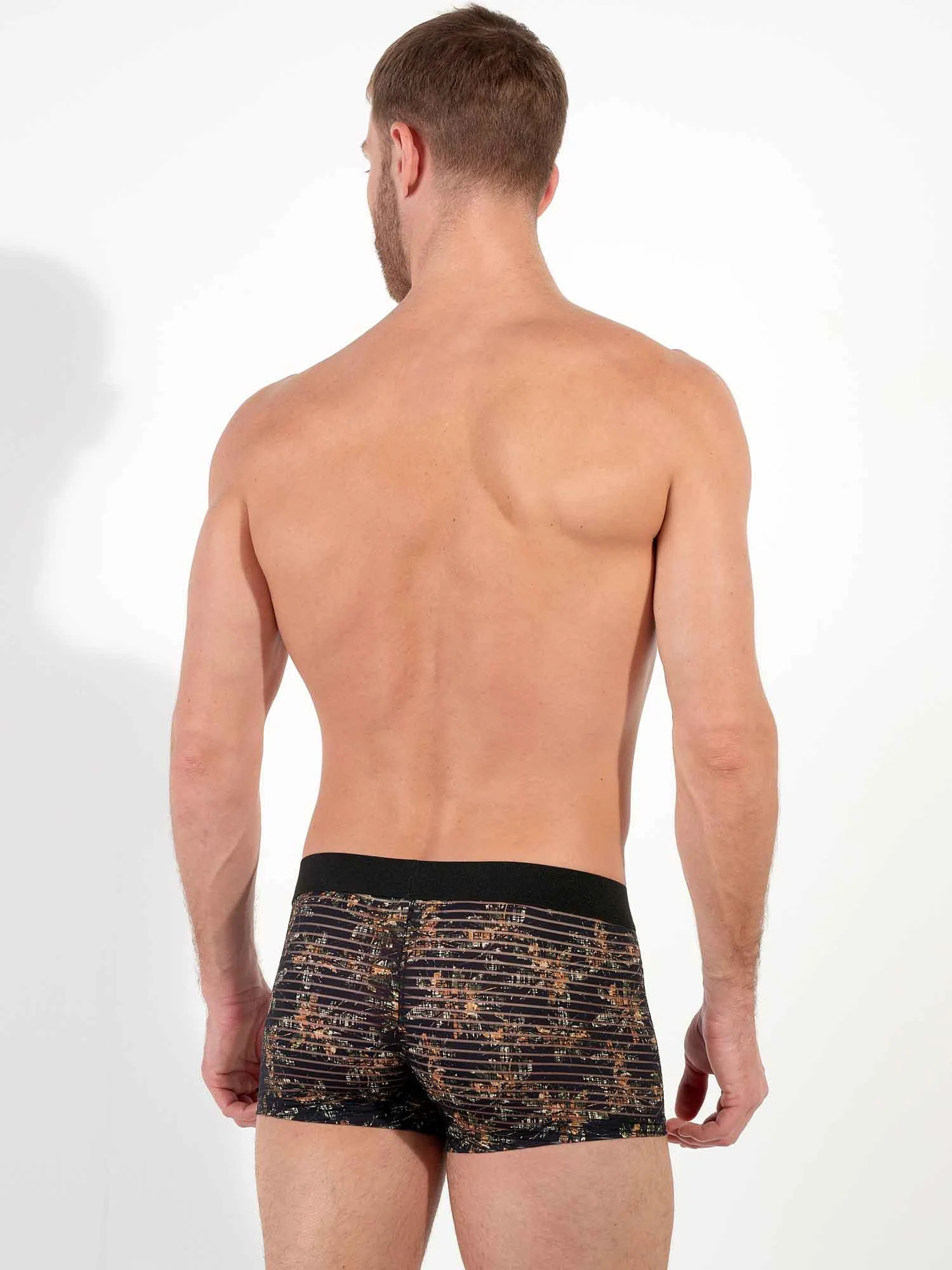 Trunk - Iraty 6