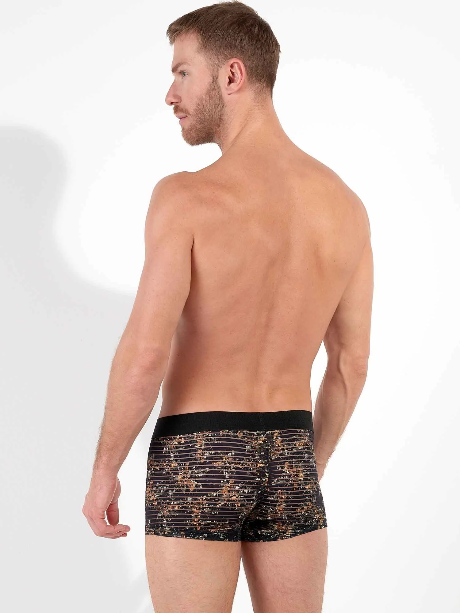 Trunk - Iraty 8