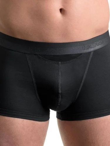 Boxer Briefs HO1 - Original 4