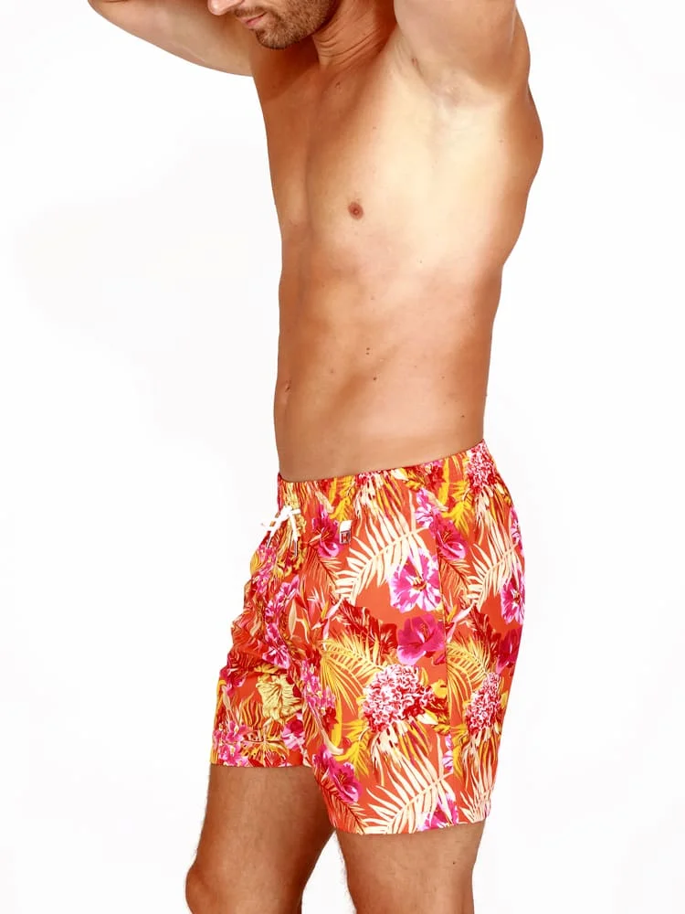 Beach Boxer - Equatorial 4