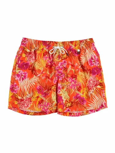 Beach Boxer - Equatorial 2