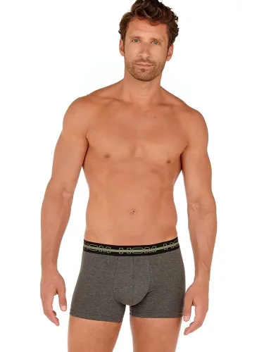 3p Boxer Briefs - Bernie 5
