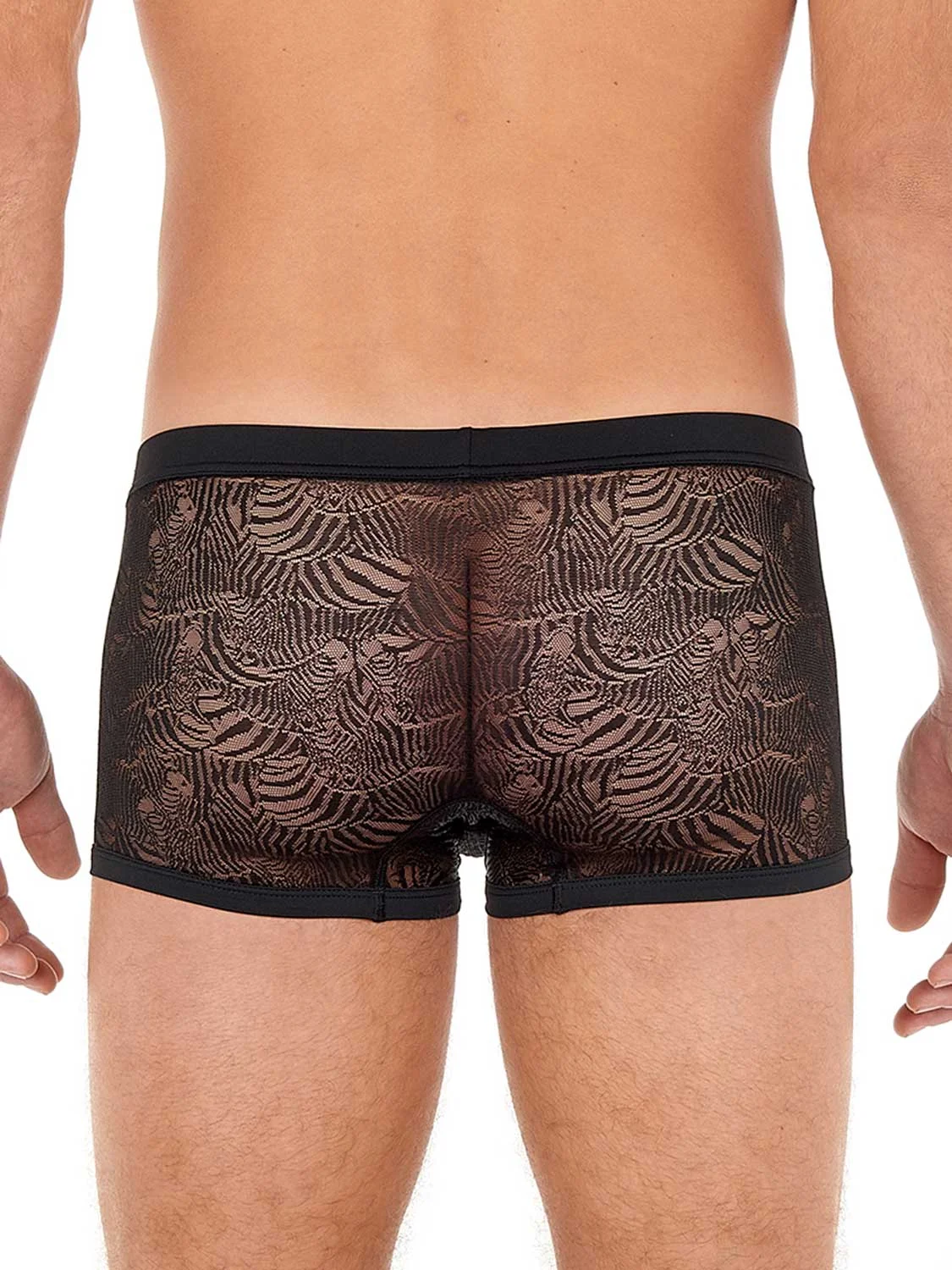 Trunk Up - Zebra Lace 3