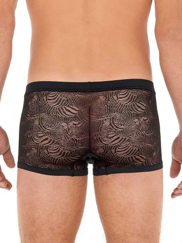 Trunk Up - Zebra Lace 3