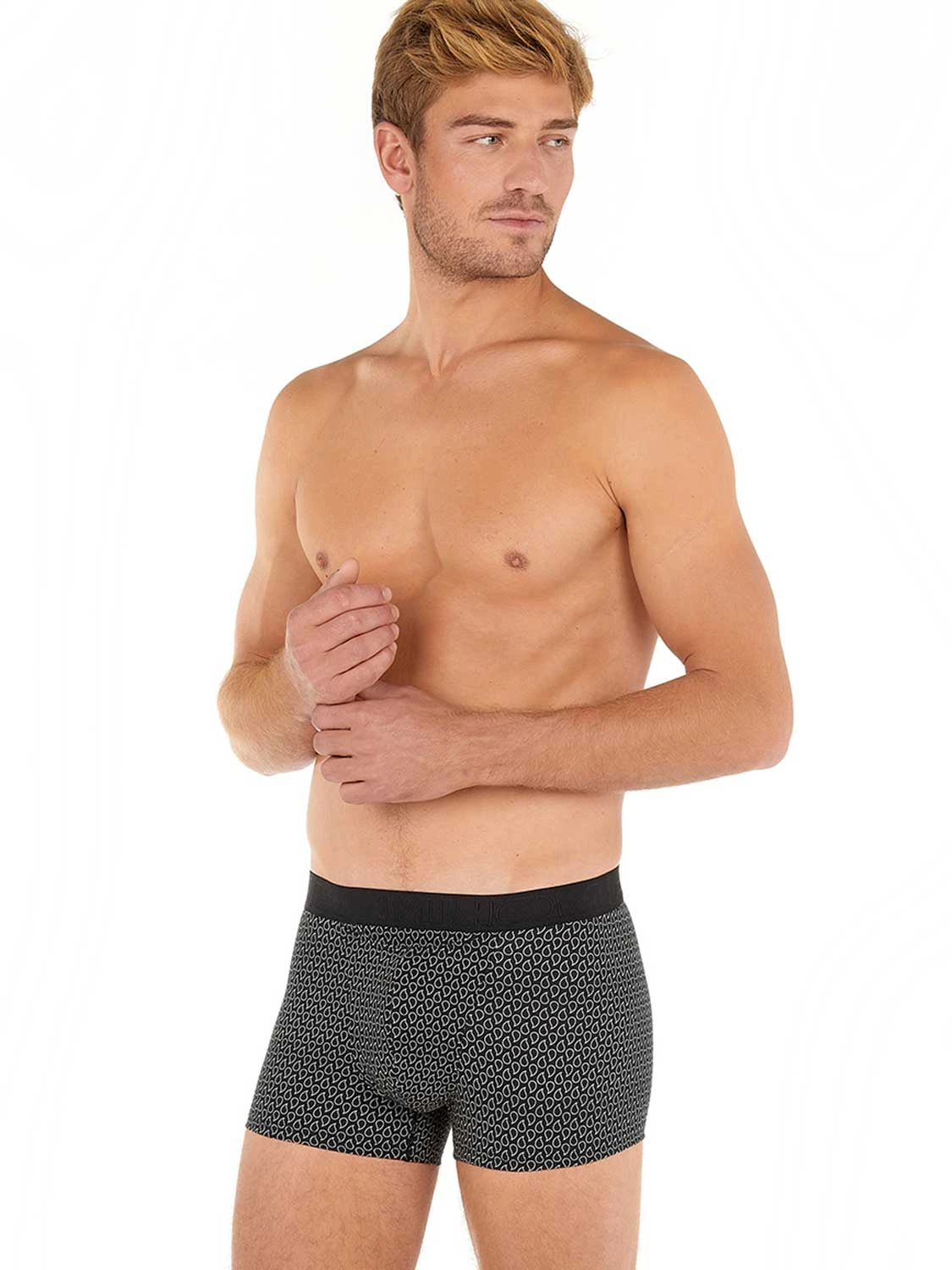 Boxer Briefs HO1 - Akita