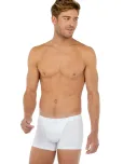 Boxer Briefs HO1 - Tencel Soft 1