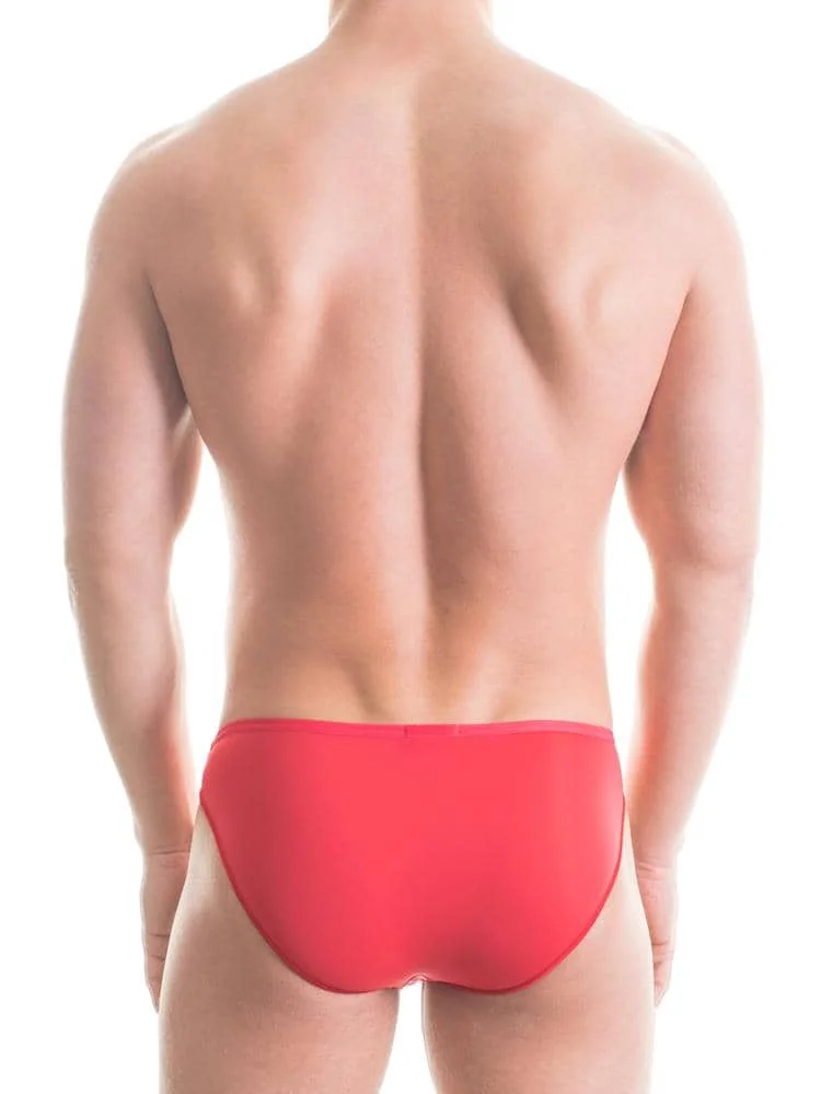 Micro Briefs - Plumes 3