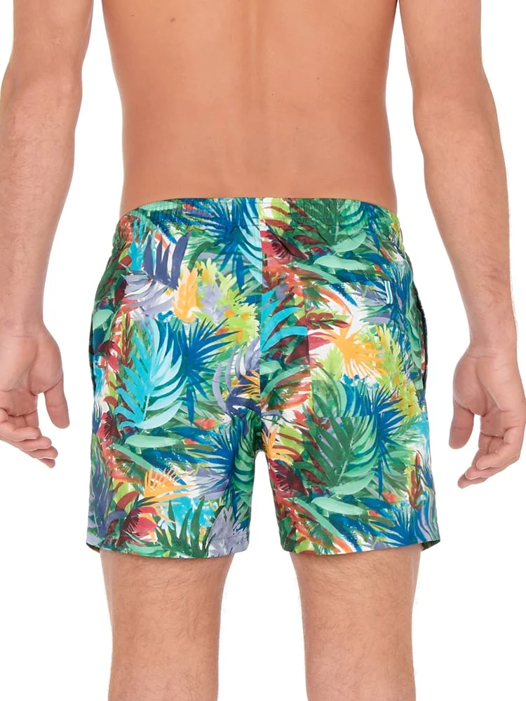 Beach Boxer - Palms 3