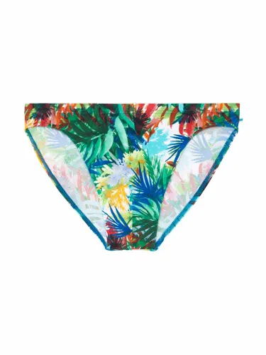 Micro Swim Brief - Palms 1