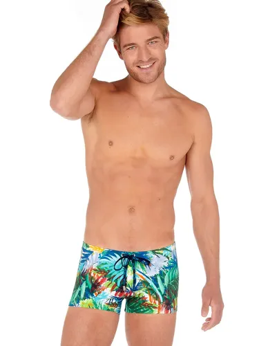 Swim Short - Palms 2