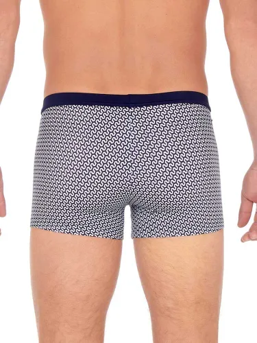 Swim Short - Corbiere 3