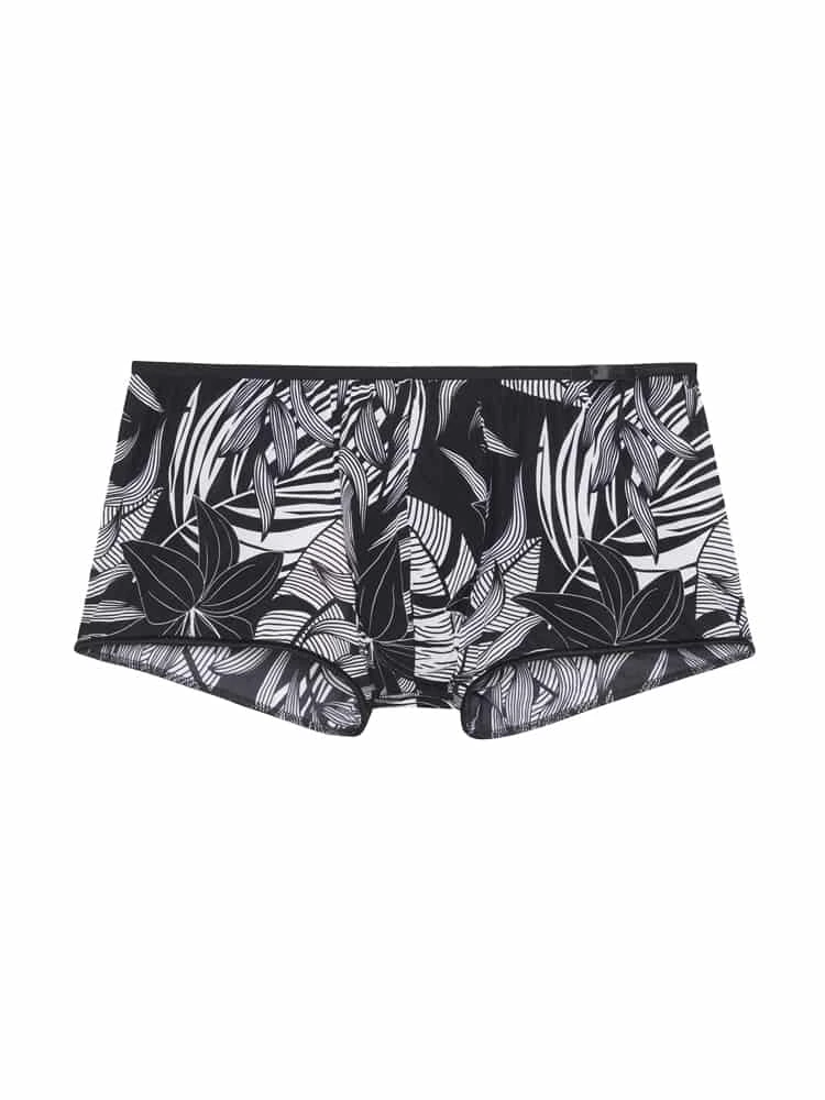Trunk - Bendor