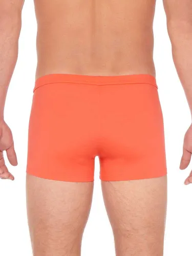 Swim Short - Sealife 4