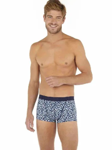 2p Boxer Briefs HO1 - Blue Flower #2 2